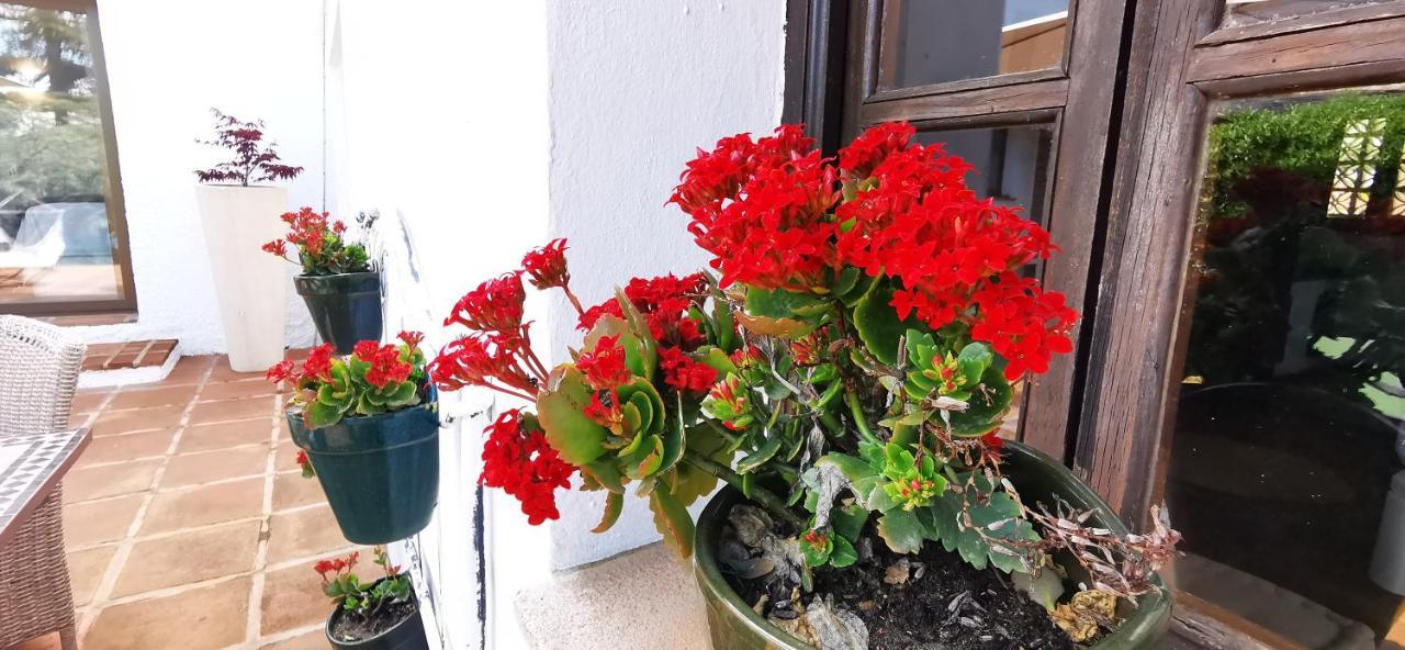 Roca Verde, Boutique Bed & Breakfast (Adults Only) Alhaurín de la Torre Exterior photo