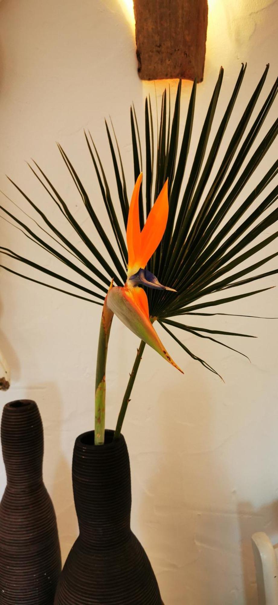 Roca Verde, Boutique Bed & Breakfast (Adults Only) Alhaurín de la Torre Room photo