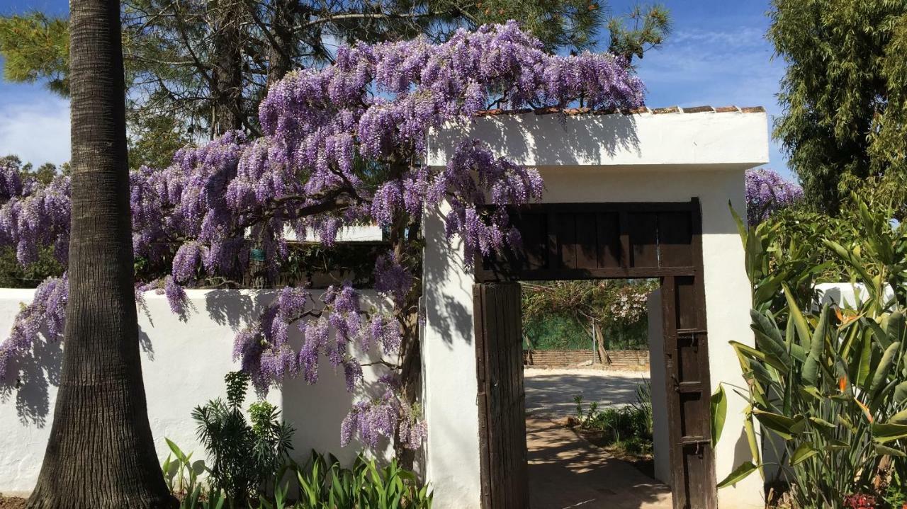 Roca Verde, Boutique Bed & Breakfast (Adults Only) Alhaurín de la Torre Exterior photo