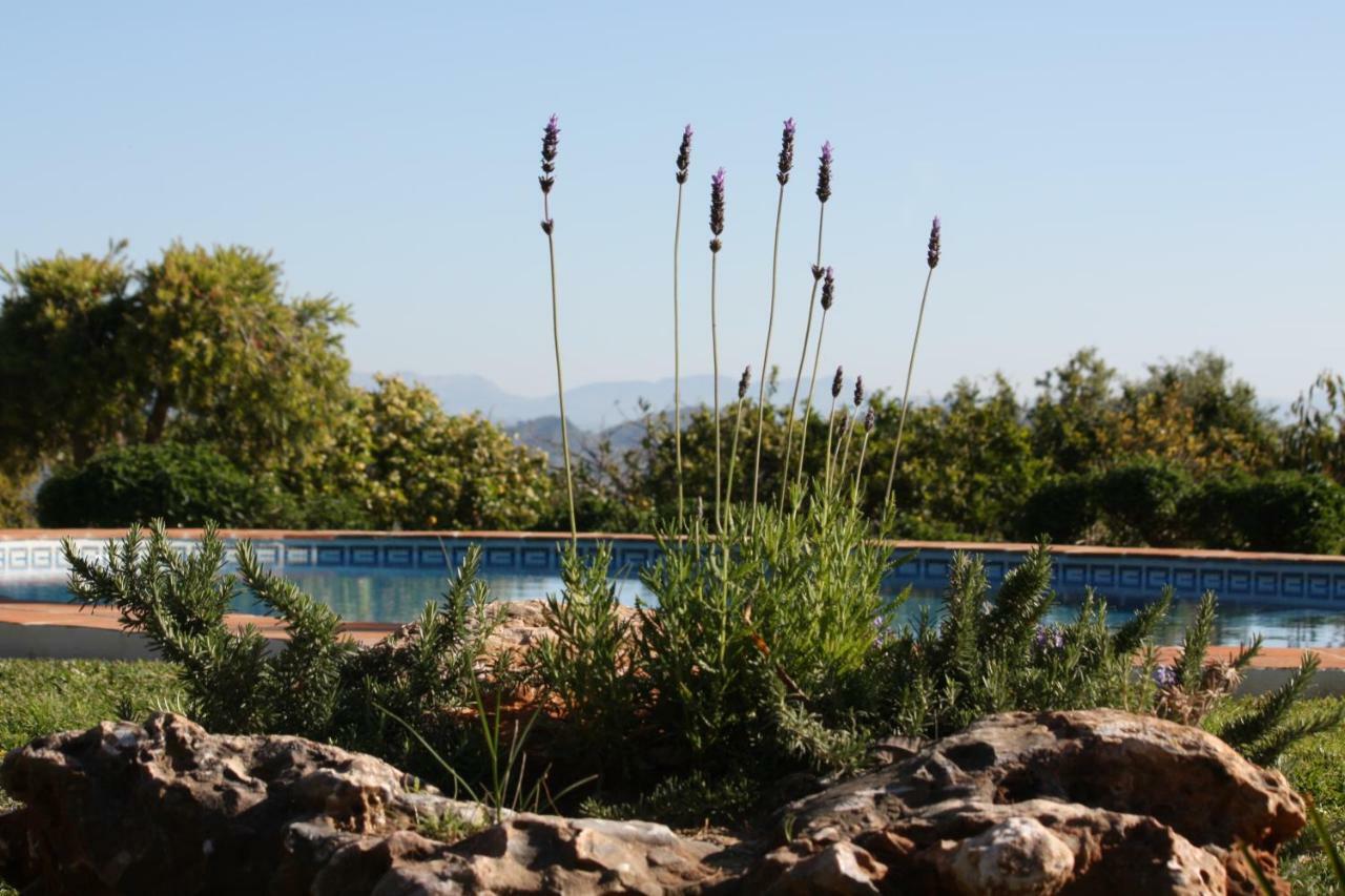 Roca Verde, Boutique Bed & Breakfast (Adults Only) Alhaurín de la Torre Exterior photo